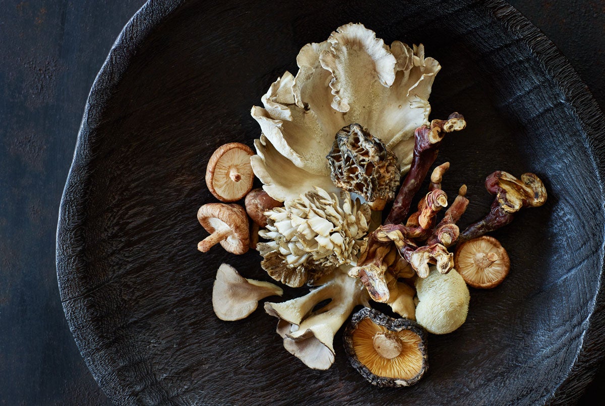 Starting a Business of Mushrooms Great for Health Tischman Pets