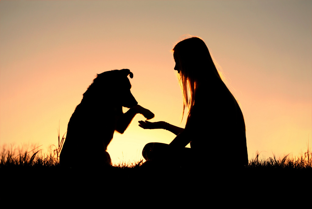 woman and her dog silhouette