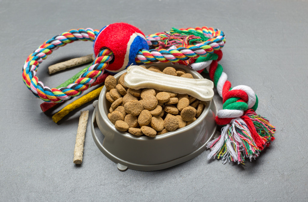 Pet food bowl with some toys