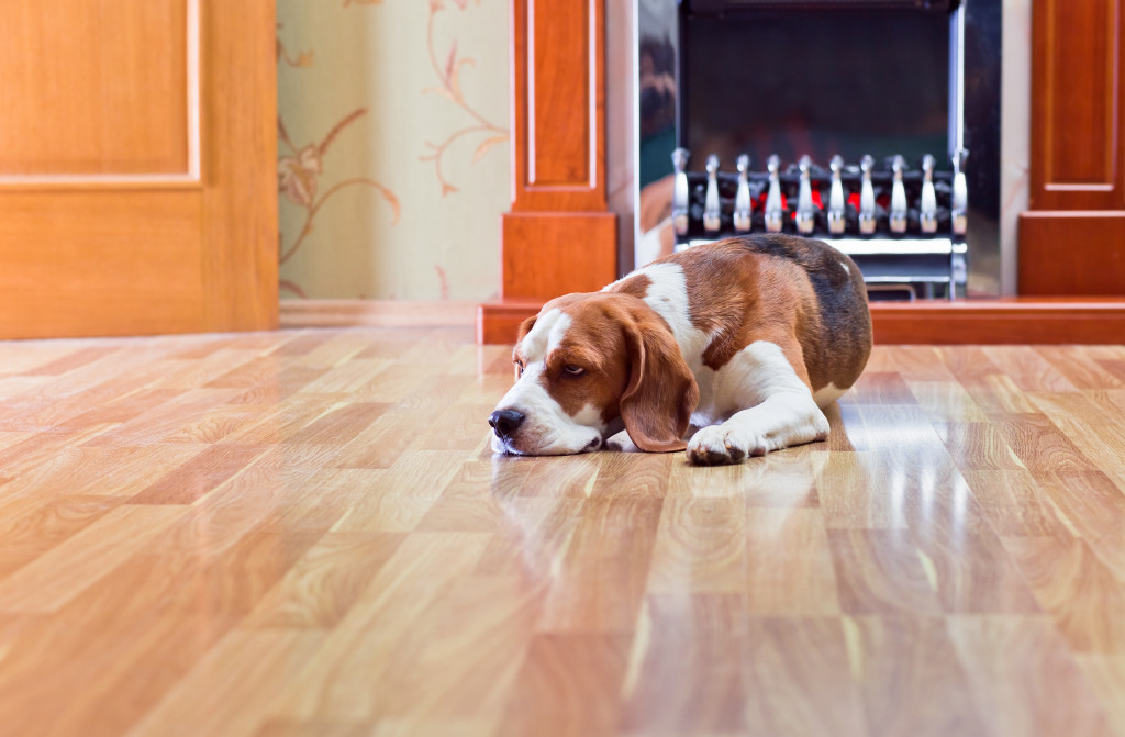 A dog resting on the floor near a fireplace