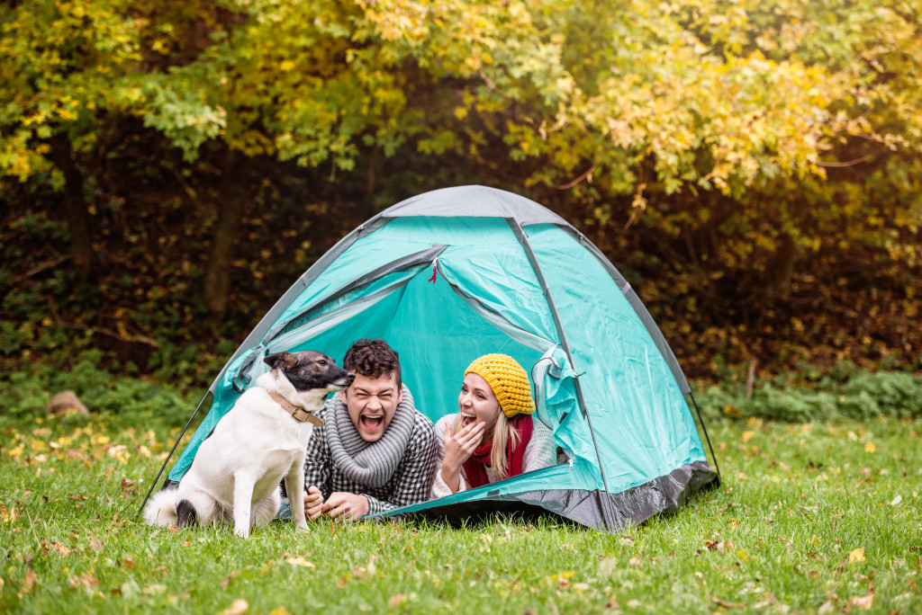 Camping essentials with dog